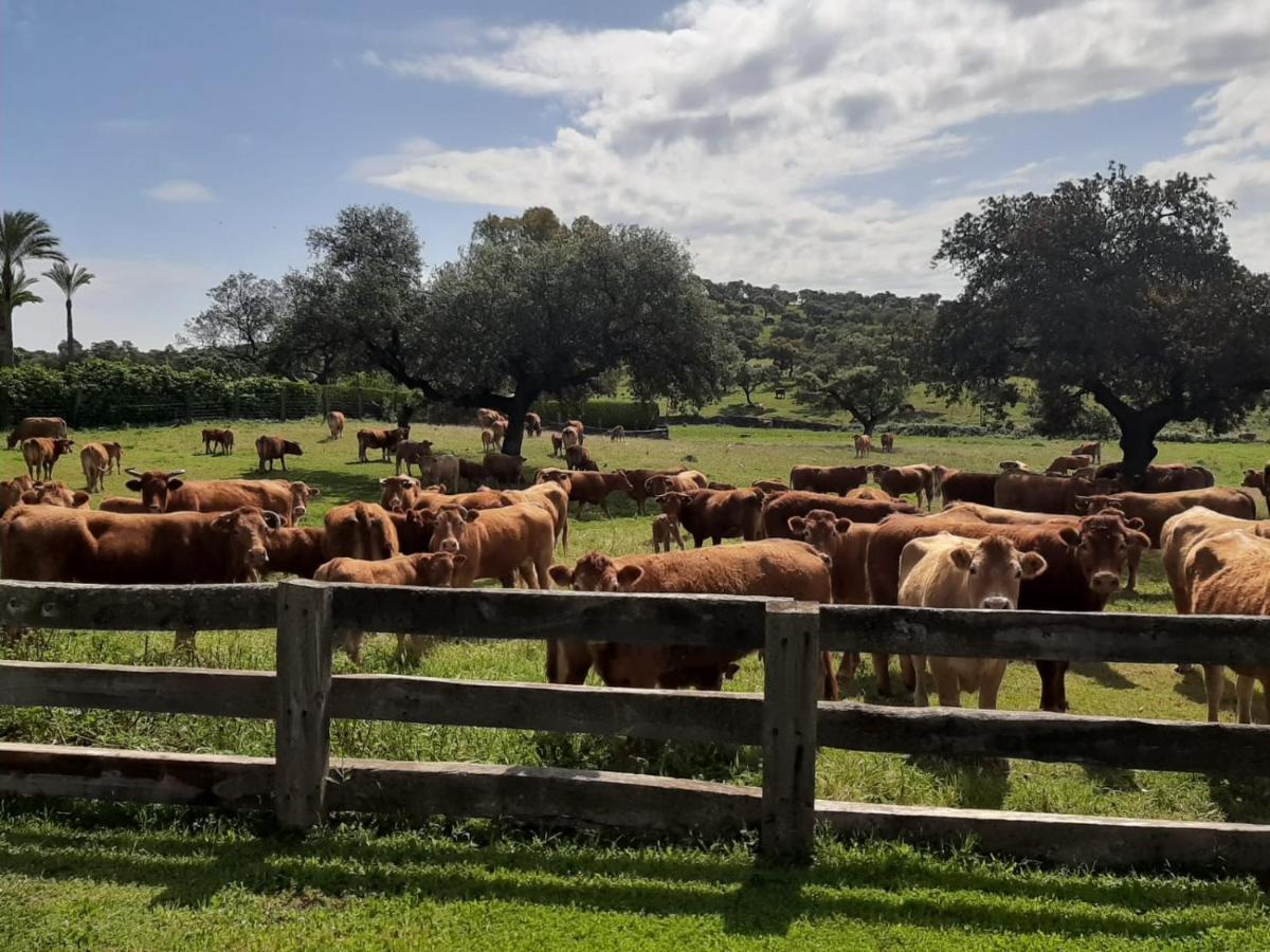 Alojamiento Rural Finca Barral El Garrobo Esterno foto