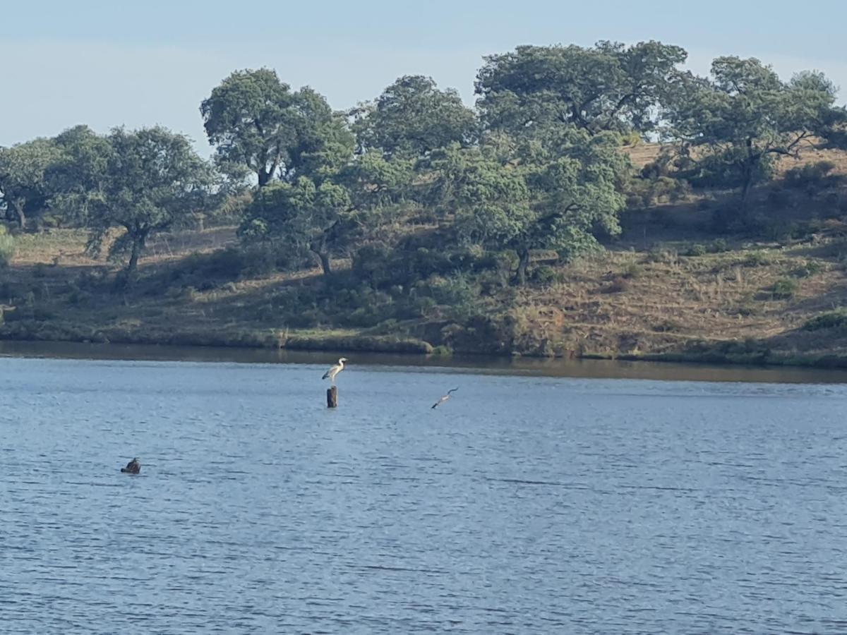 Alojamiento Rural Finca Barral El Garrobo Esterno foto