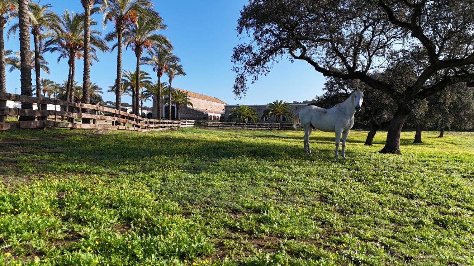 Alojamiento Rural Finca Barral El Garrobo Esterno foto