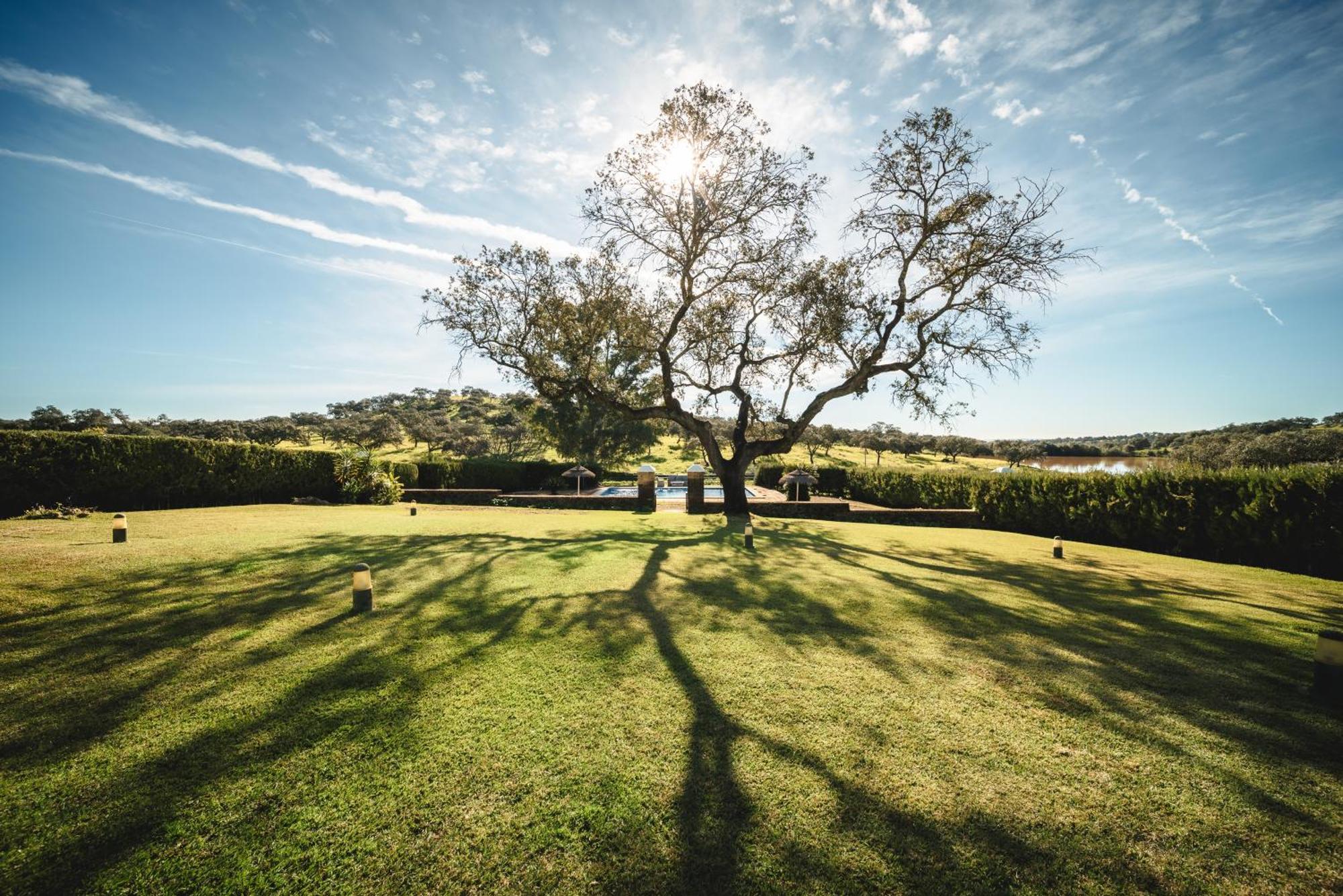 Alojamiento Rural Finca Barral El Garrobo Esterno foto