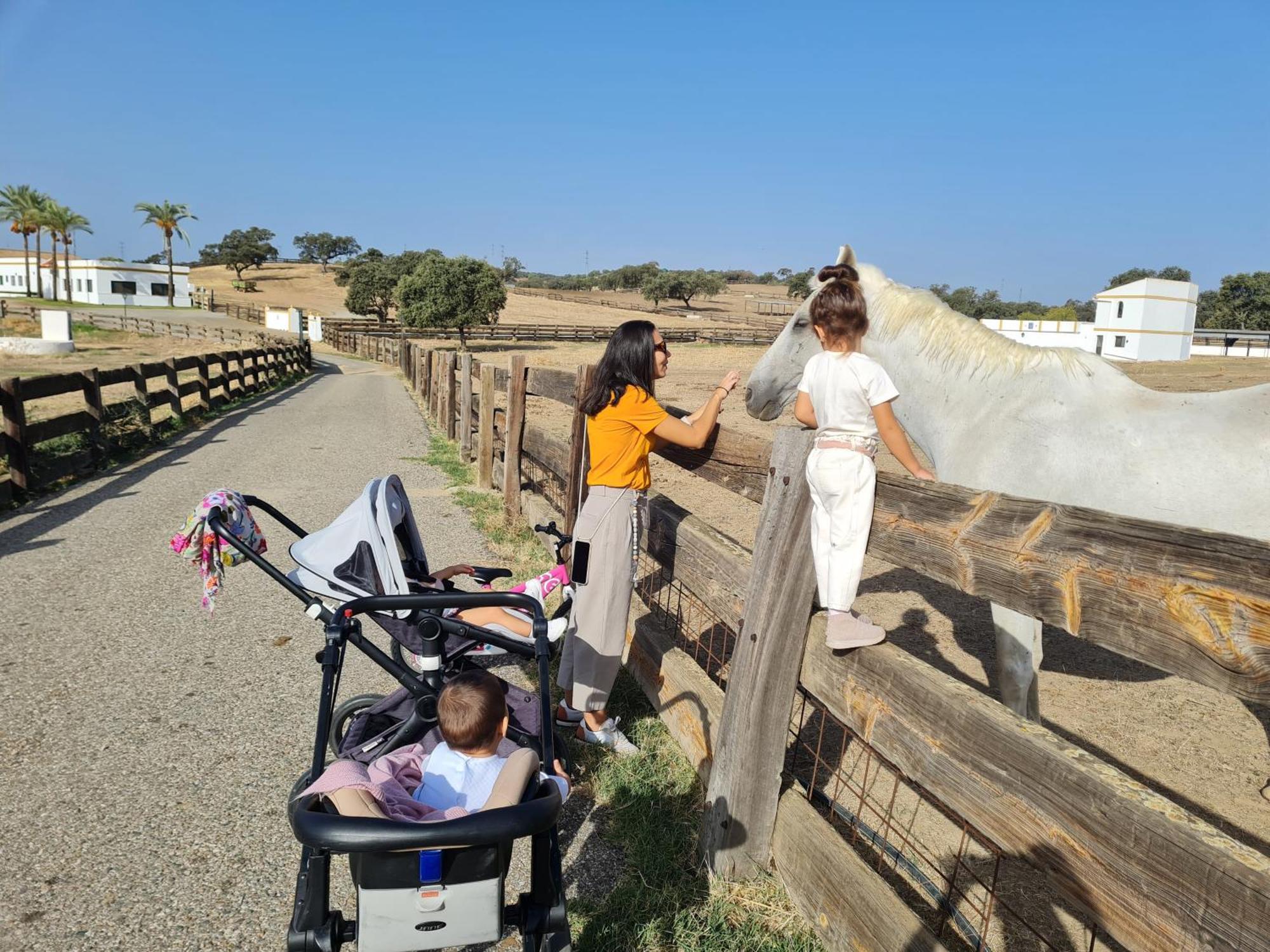 Alojamiento Rural Finca Barral El Garrobo Esterno foto