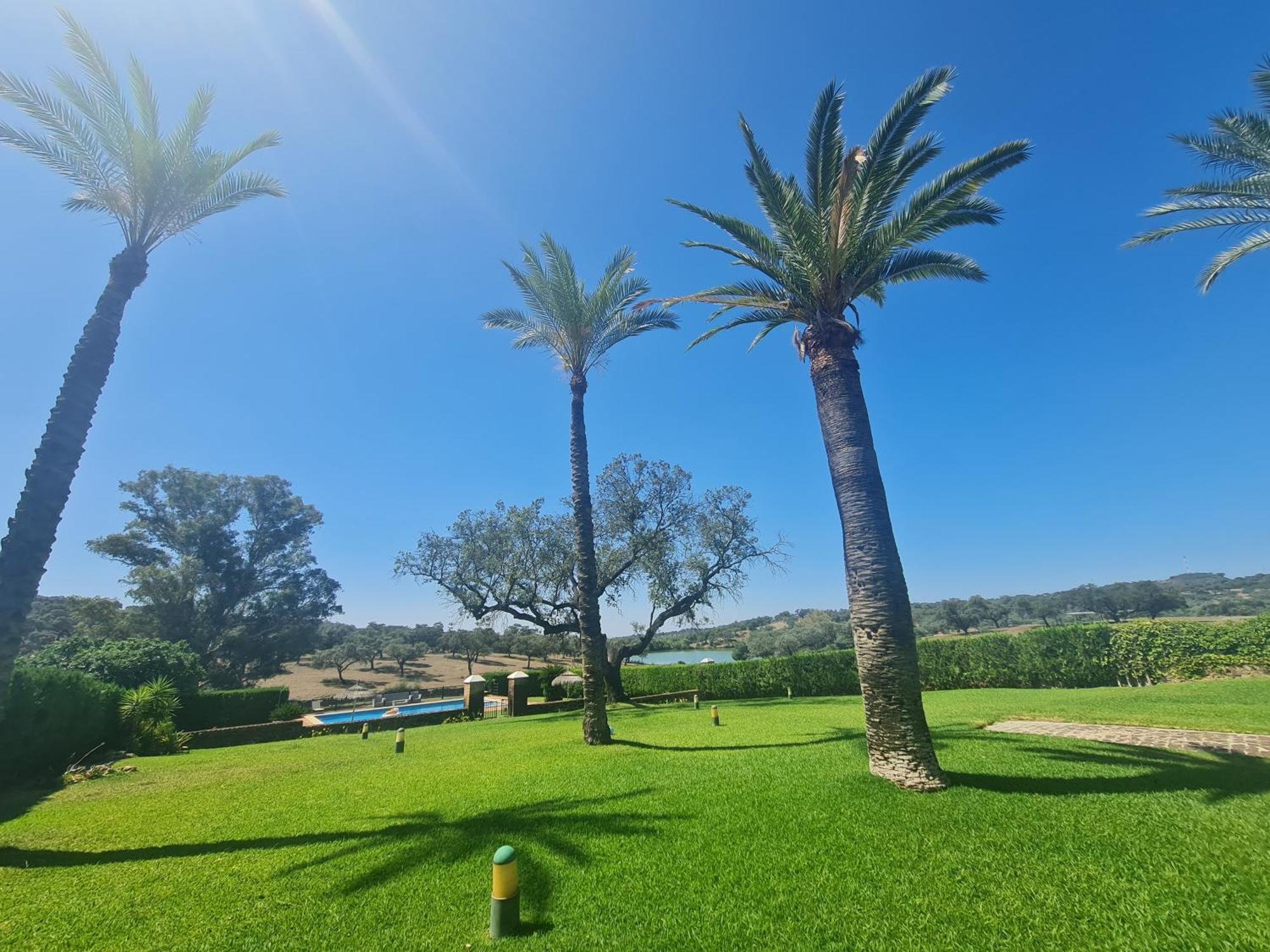 Alojamiento Rural Finca Barral El Garrobo Esterno foto