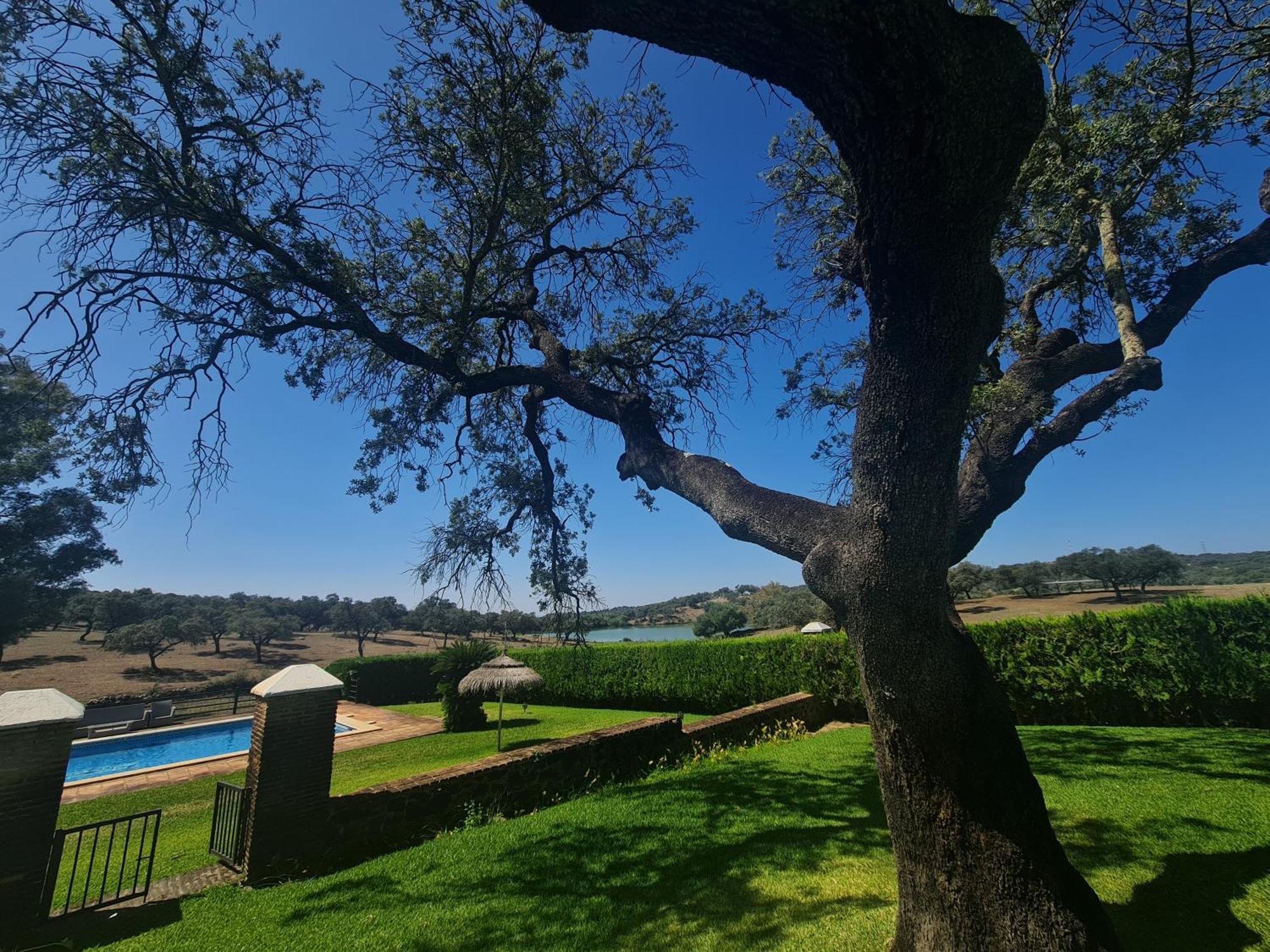 Alojamiento Rural Finca Barral El Garrobo Esterno foto