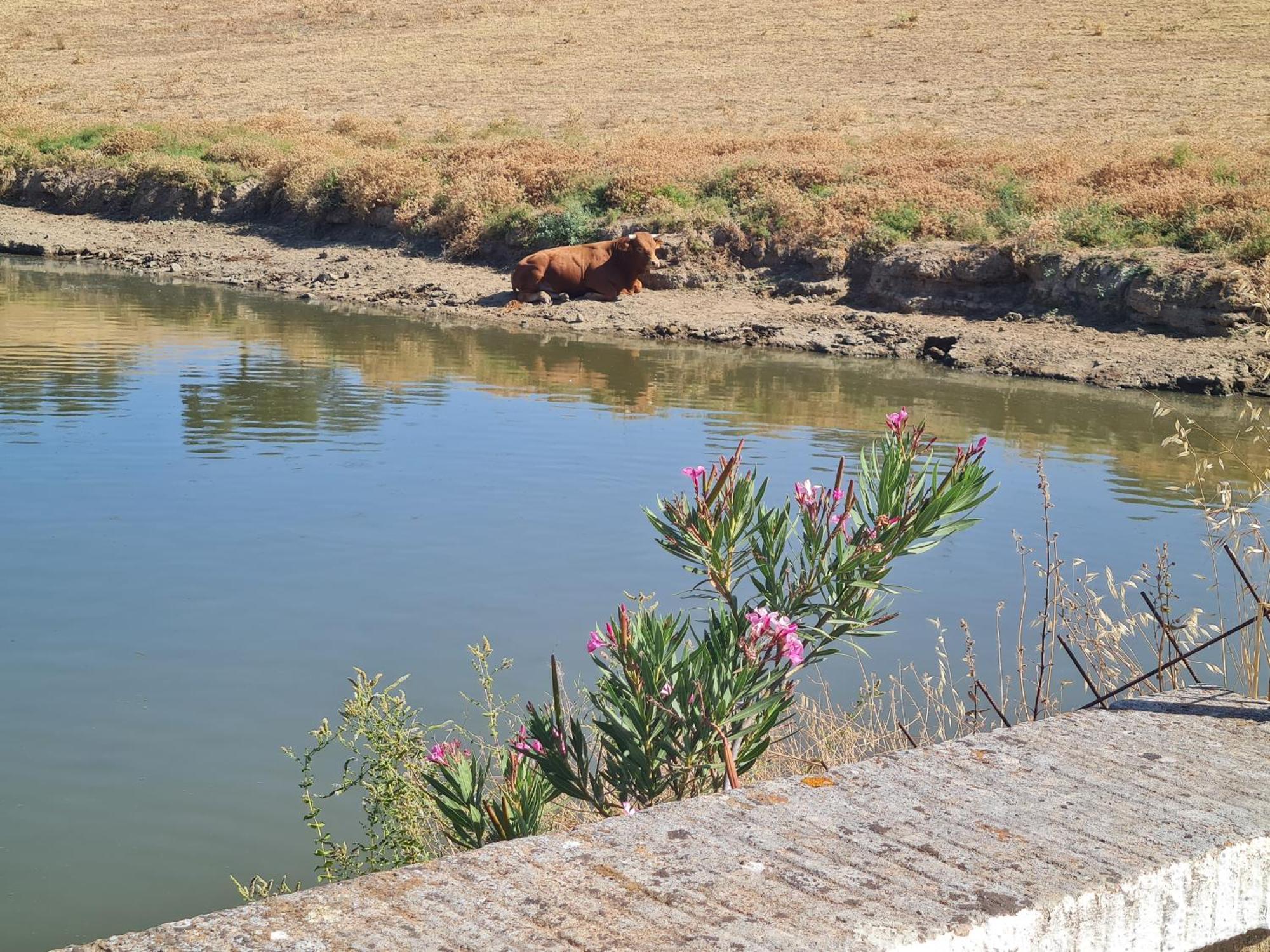 Alojamiento Rural Finca Barral El Garrobo Esterno foto